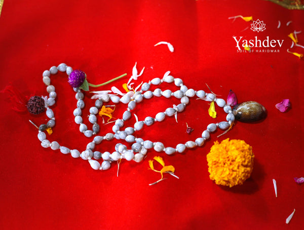 Vaijayanti Vijay Mala