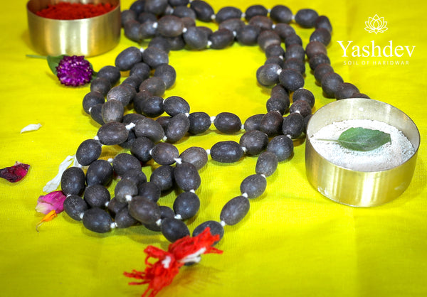 Kamal Gatta Mala