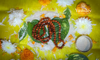 Shivshakti Rudraksha Mala