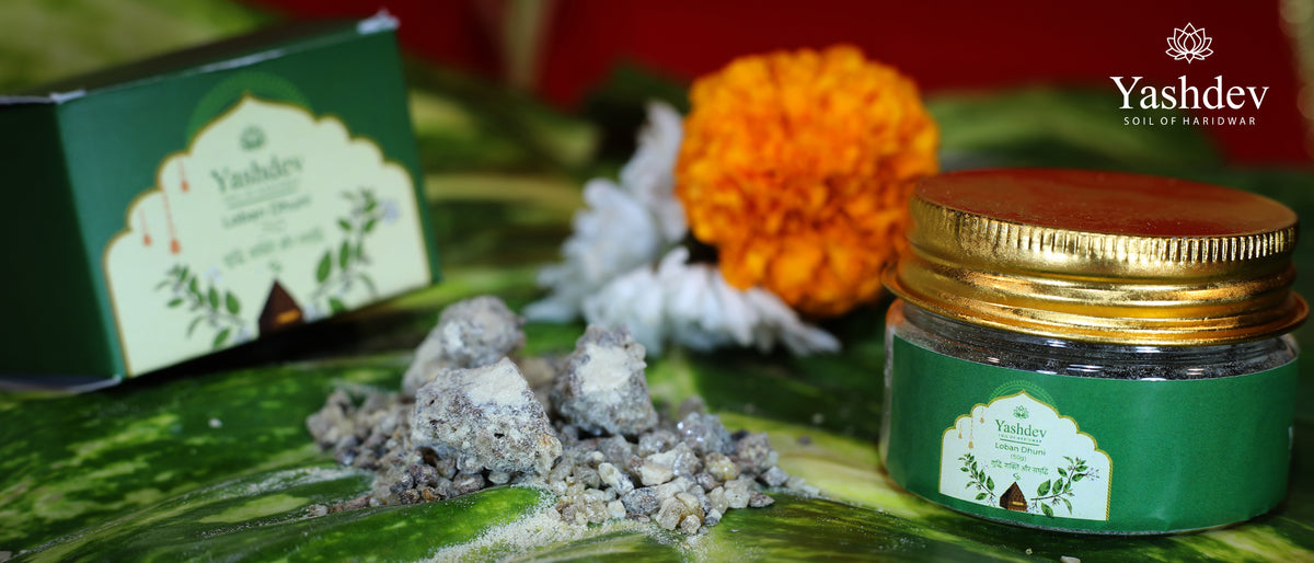 Loban Dhuni - 50G