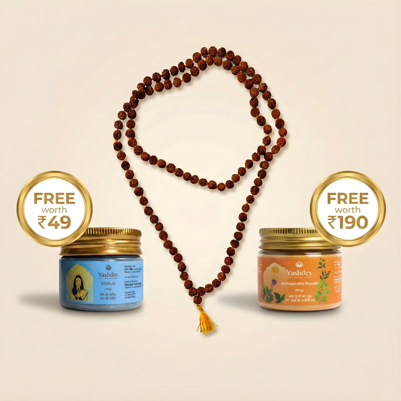 Shivshakti Rudraksha Mala + Free Vibhuti + Ashtagandha