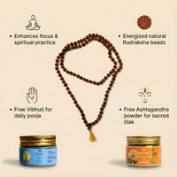 Shivshakti Rudraksha Mala + Free Vibhuti + Ashtagandha